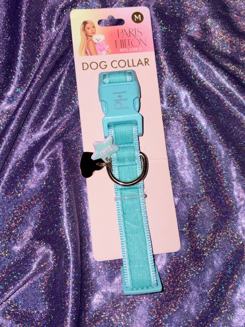 Paris Hilton Baby Blue Dog Collar